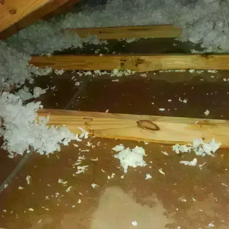 Attic Water Damage in Palo, IA