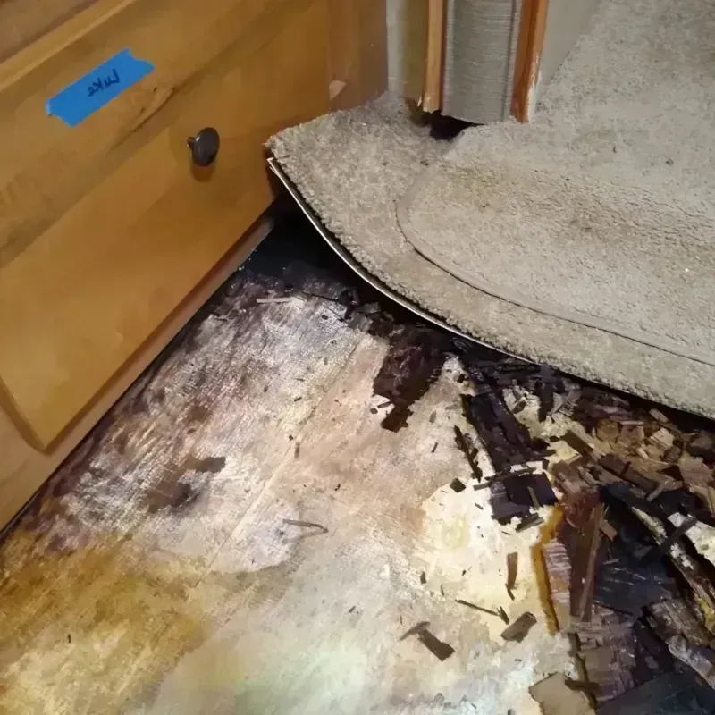 Best Wood Floor Water Damage Service in Palo, IA